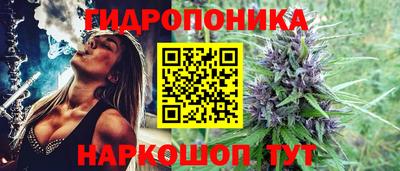 a pvp Кунгур