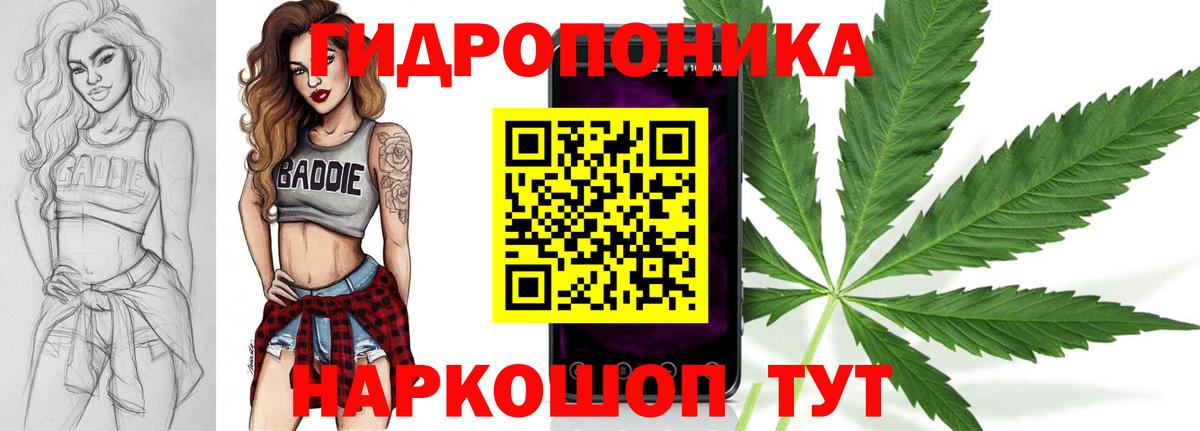Бошки марихуана ГИДРОПОН  Конопля Amnesia  Вход с VPN  Каменка  Шишки марихуана марихуана 